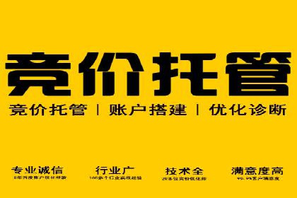 专业竞价SEM托管成功案例解析